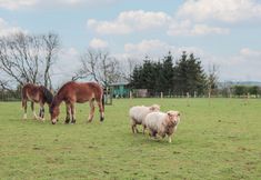 Lain-lain 7 Harri's Hut