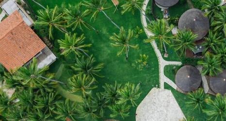 Lain-lain 2 Carneiros Paradiso