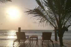 Lain-lain Carneiros Paradiso