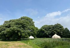 Lain-lain 7 Beautiful Bell Tent Stay