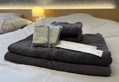 Others 7 Ryokan iriya