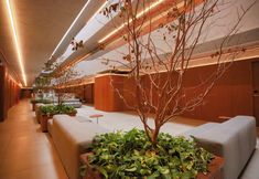 其他 2 Setai Yacht Comfort - By Almare Flats