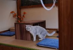 Others 2 No.54·Nanyang Old Villa