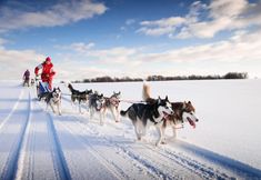 อื่นๆ 4 InterContinental Sapporo by IHG