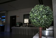 其他 3 Hotel Junior 2