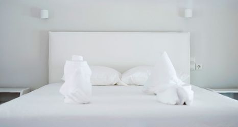 其他 2 Penelope's Blue