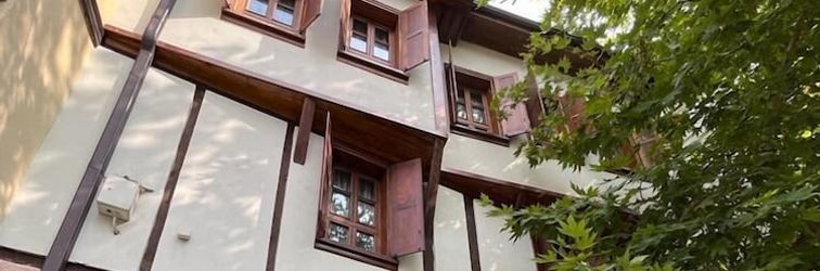 其他 Trilye Taşev