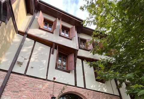 其他 Trilye Taşev