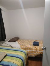 Others 4 3 Bedroom Garden Chalet A