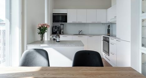 Others 2 Luxurious 1BR Penthouse with Balcony