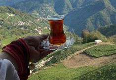 Others 4 Enasra Bungalow