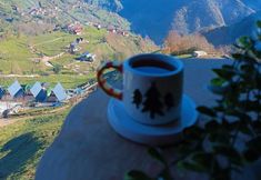 Others 6 Enasra Bungalow