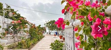 Lainnya 6 Bungalow Cafe Gili Beachfront