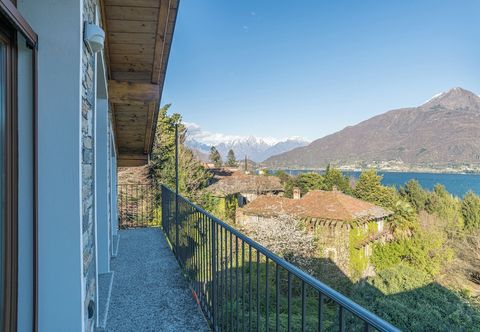 기타 Cremia Dreamhouse