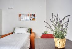 기타 3 Fascinating Flat next to Corso