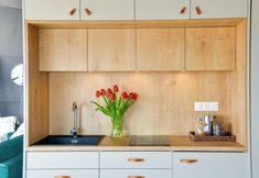 其他 7 Glamping Getaway at The Coyote Dome in Franklin