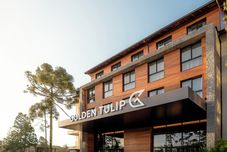 その他 Golden Tulip Canela OFICIAL
