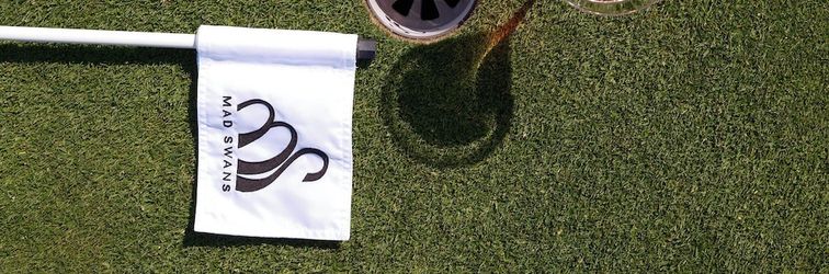 其他 Mad Swans in The Mendips