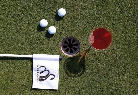 其他 Mad Swans in The Mendips