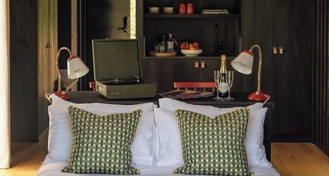 其他 2 Mad Swans in The Mendips