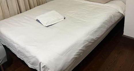 Others 2 4 double 2 sofa beds in a apartment