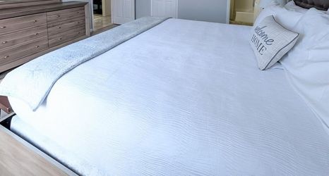 其他 2 Sea Club #12 - The Dancing Dolphin