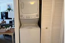 其他 Sea Club #12 - The Dancing Dolphin