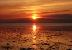 Others 5 Quackers- Seaside Village - Pet Friendly - Parking