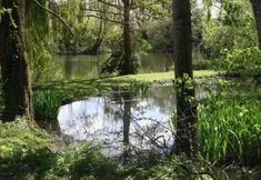 Others 4 Quackers- Seaside Village - Pet Friendly - Parking
