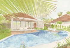 Others 6 NANNAI Milagres