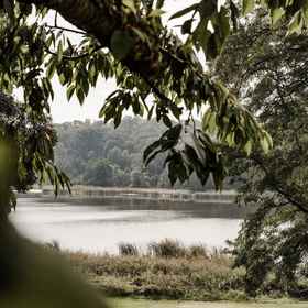 Primary image1THE RESET,米里茨国家公园飯店