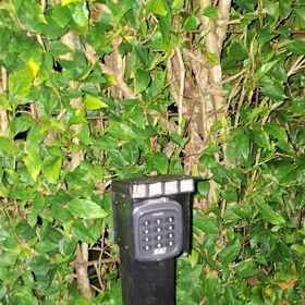 Reception 1 Cabini Taz, Sixaola Hotels