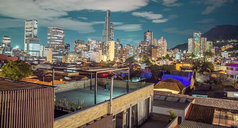 Others 2 Camelia by Masaya Collection