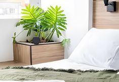 기타 2 ARK Houses - Studio Completo no Gonzaga