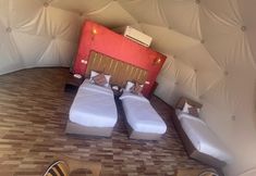 기타 7 Magic Rum Desert