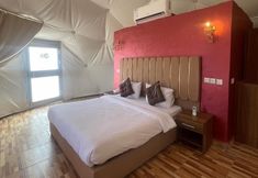 기타 6 Magic Rum Desert