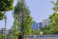 Others cozybnb.seoul.youjinhouse