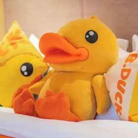 Room 1 DuoFu Resort (Lijiang Ancient City South Gate), 固城区 ホテル