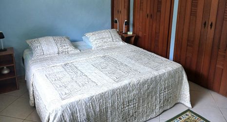 Others 2 AMAZON HOME AND JUNGLE TRIPS