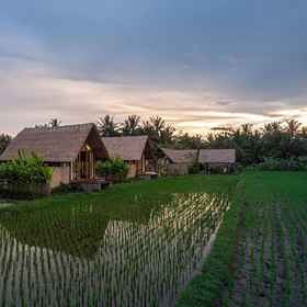 Primary image 1 ปอนดอก มาวาส, โรงแรม & ที่พัก Mango Lango Resto