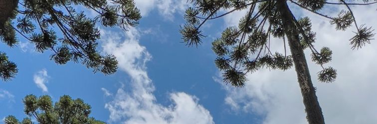 Others Araucária Lodge