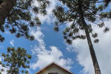 Others Araucária Lodge