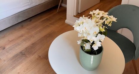 Others 2 Dimore del Plebiscito B&B