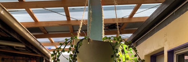 Others Tramstop14 Backpackers