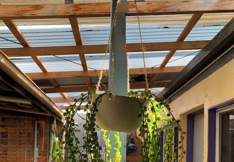 Others Tramstop14 Backpackers