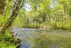 Others 3 Nature-packed Mckenzie River Retreat w/ Trails!