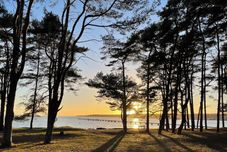 Others Hälleviks Strandstugor