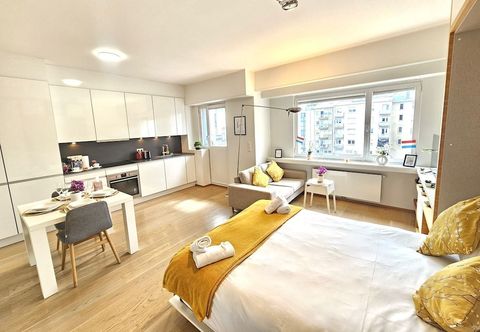 其他 Stylish studio in central Luxembourg