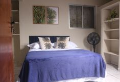 기타 7 Vila do Frances