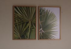 기타 6 Vila do Frances